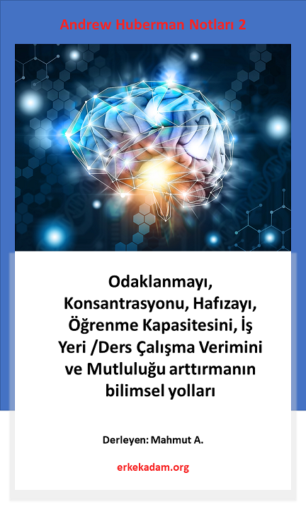 Andrew Huberman Notlar 2 Odaklanmay Konsantrasyonu Haf zay 